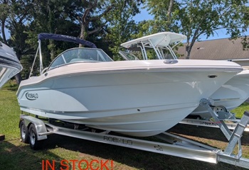 2025 Robalo R207 Ice Blue Boat
